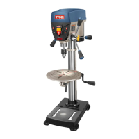 Preview: Ryobi DP121L