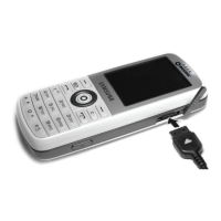 Preview: Samsung SGH-T456