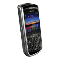 Preview: Blackberry TOUR 9630