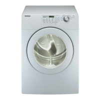 Preview: Samsung DV306LEW
