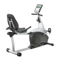 Preview: Schwinn 202