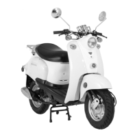 Preview: Schwinn Motor Scooters Hope 50CA06PK