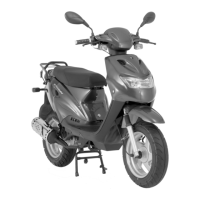 Preview: Schwinn Motor Scooters Sport 50SP06BK