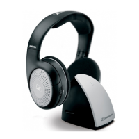 Preview: Sennheiser RS 110
