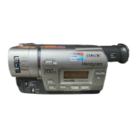 Preview: Sony Handycam CCD-TR317