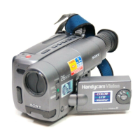 Preview: Sony Handycam Vision CCD-TRV10
