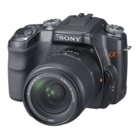 Preview: Sony Cyber-shot SLR