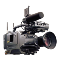 Preview: Sony DSR-300