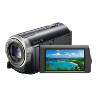 Preview: Sony Handycam HDR-CX305E