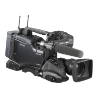 Preview: Sony PDW-700