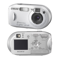 Preview: Sony Cyber-shot DSC-P41