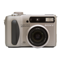 Preview: Sony DSC-S75/S85