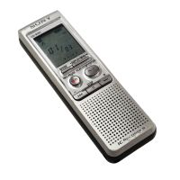 Preview: Sony ICD-B300