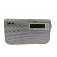 Preview: Sony XDR-S55DAB