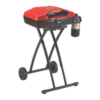 Preview: Coleman 9955 Series