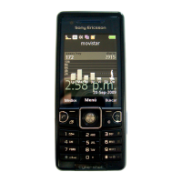 Preview: Sony Ericsson CYBER-SHOT C510