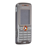 Preview: Sony Ericsson W200