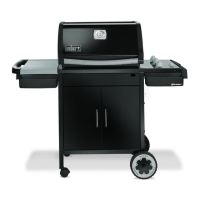 Preview: Weber E-210/310