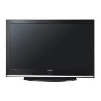 Preview: Plasma Display Panel Television