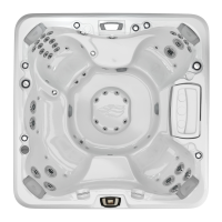 Preview: Sundance Spas 850