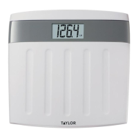 Preview: Taylor 7356