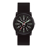 Preview: Timex 111-095009