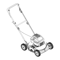 Preview: Troy-Bilt TRU CUT 100