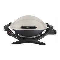 Preview: Weber Q100