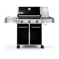 Preview: Weber E/S-310/320