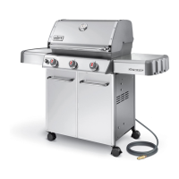 Preview: Weber GENESIS E/S-310/320
