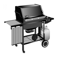 Preview: Weber GENESIS GENESIS 1000