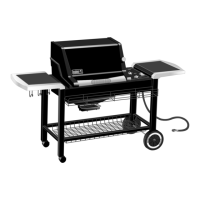 Preview: Weber Genesis Gold B
