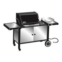 Preview: Weber Genesis Platinum C