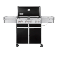 Preview: Weber Summit E/S 470