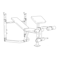 Preview: Weider Pro 208