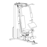 Preview: Weider WESY19001