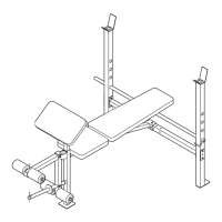 Preview: Weider 525