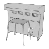 Preview: Yamaha CN-70