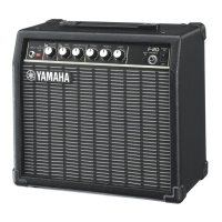 Preview: Yamaha F-20