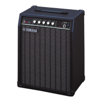 Preview: Yamaha F-20B