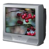 Preview: Samsung CB-21N112T