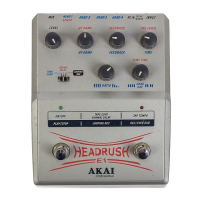 Preview: Akai E1 Headrush