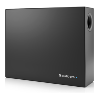 Preview: Audio Pro Mondial Series Sub1