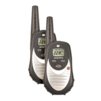 Preview: Audiovox GMRS122-2