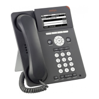 Preview: Avaya 9620
