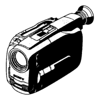 Preview: Sony Handycam CCD-TRV41