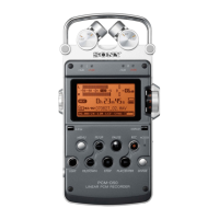 Preview: Sony PCM-D50