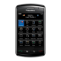 Preview: Blackberry Storm 9530