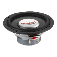 Preview: Boston Acoustics G110