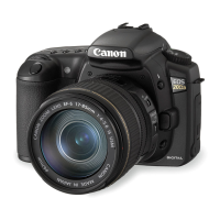 Preview: Canon EOS 20D
